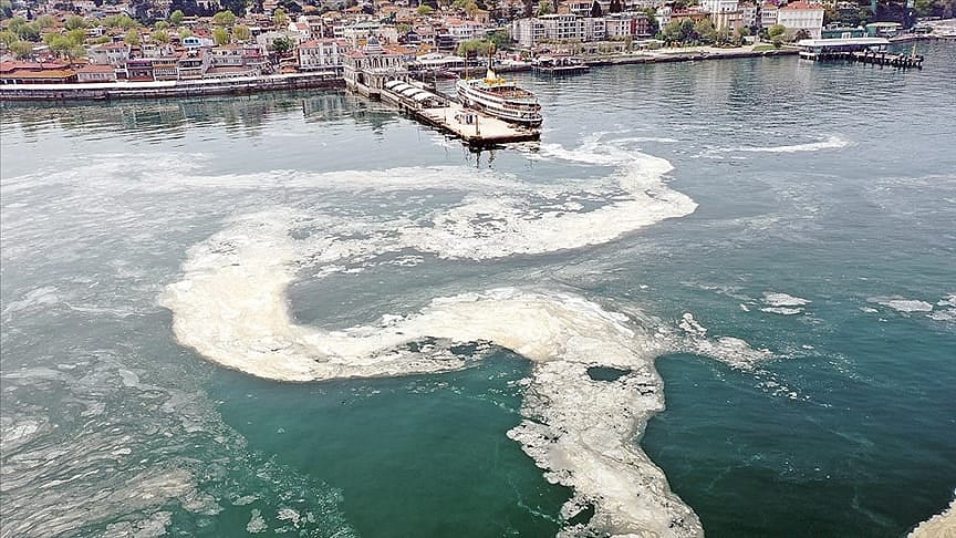 Bilim insanları müsilajın Marmara Denizi'ne etkilerini araştırıyor-0