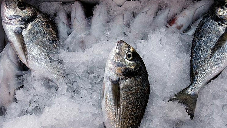 Zincir marketlerde maliyetine balık satışı sürüyor