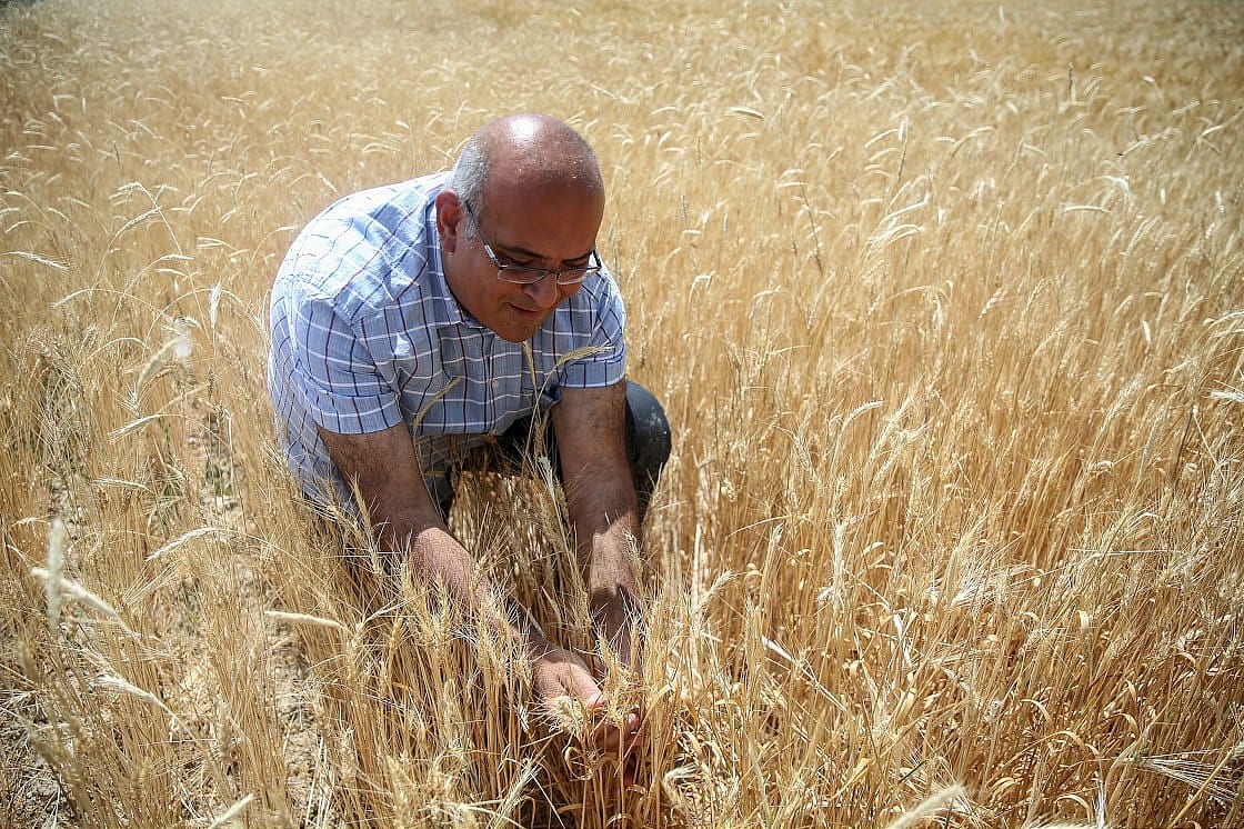Bankacılığı bırakıp çiftçi oldu-0