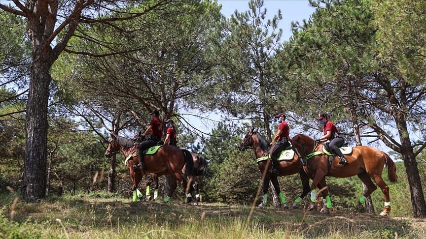 İstanbul'da ormanlara giriş 1 ay yasaklandı