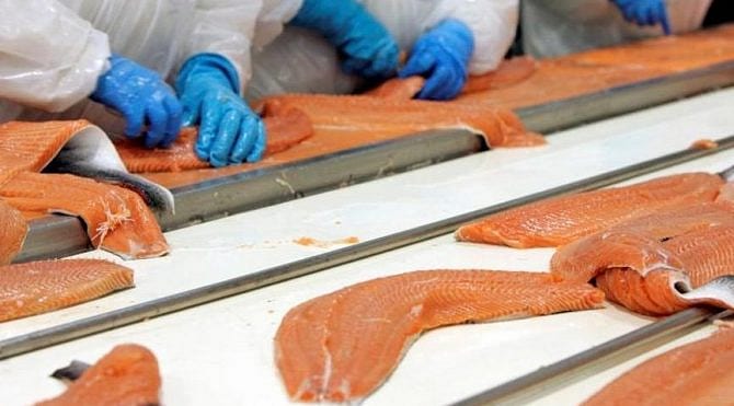 Çin'den korkutan yeni virüsle ilgili ithal somon iddiası