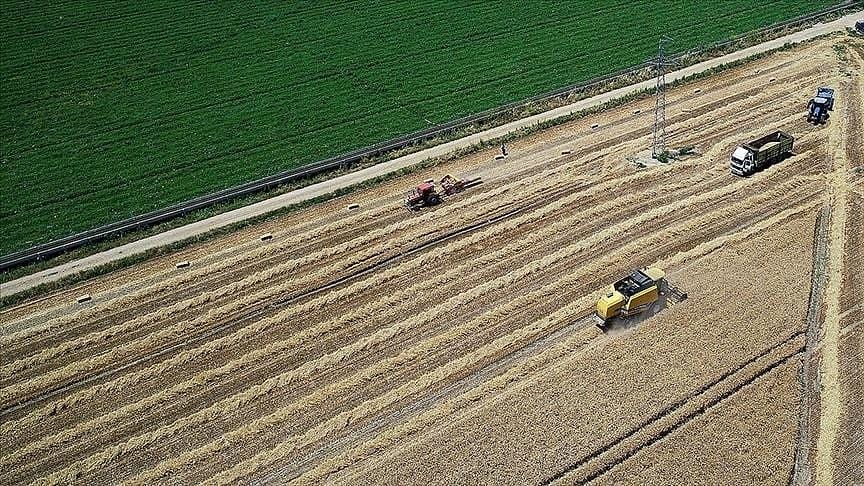 420.4 milyon liralık destek ödemeleri bugün başlıyor