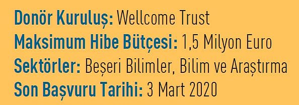 15 Hibe Desteği-14