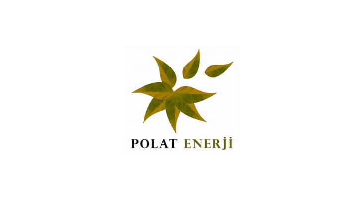 Polat, enerjide kapasitesini neden artıramıyor?