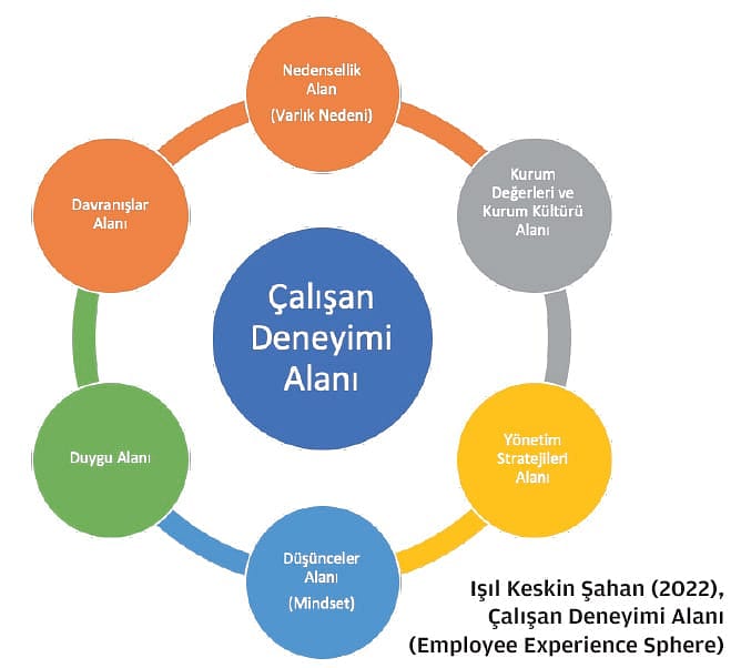 Çalışan Deneyimi-1