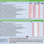 Fon gruplarının dağılımı nasıl performans gösterdi?-1