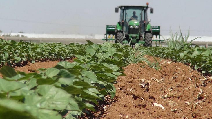 Yasak kalktı, gübre sektörü rahatladı