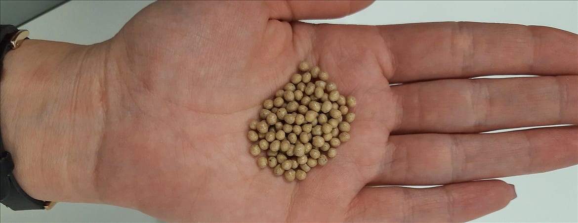 Zeytin çekirdeğini çevre dostu plastiğe dönüştürüyor-0