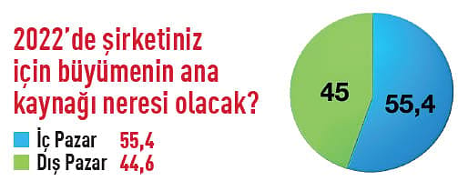 12 soruluk anket: 158 CEO 2O22’den ne bekliyor?-11