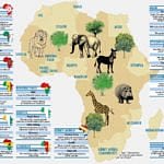 Afrika'da yeni iş fırsatları-1