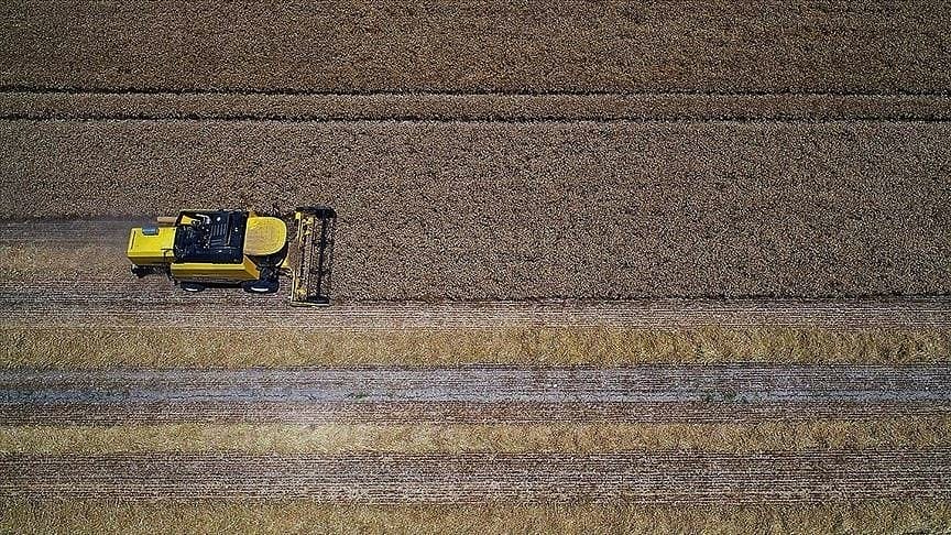 Tarımsal girdi fiyat endeksi yüzde 17,52 arttı