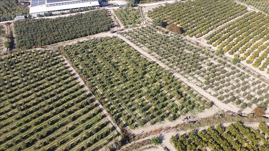 90 milyon metrekare Hazine arazisi kiraya verilecek