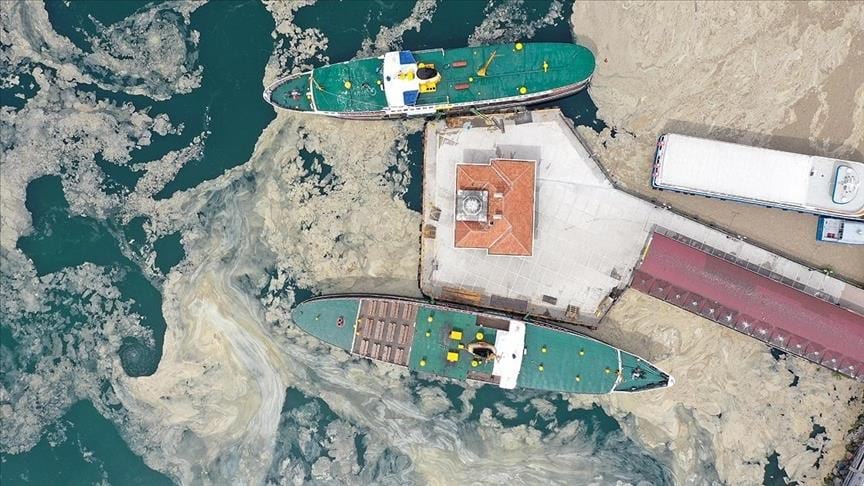 Bilim insanları müsilajın Marmara Denizi'ne etkilerini araştırıyor