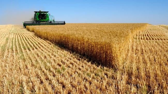 Tarım ÜFE 2020'de yüzde 21,24 yükseldi