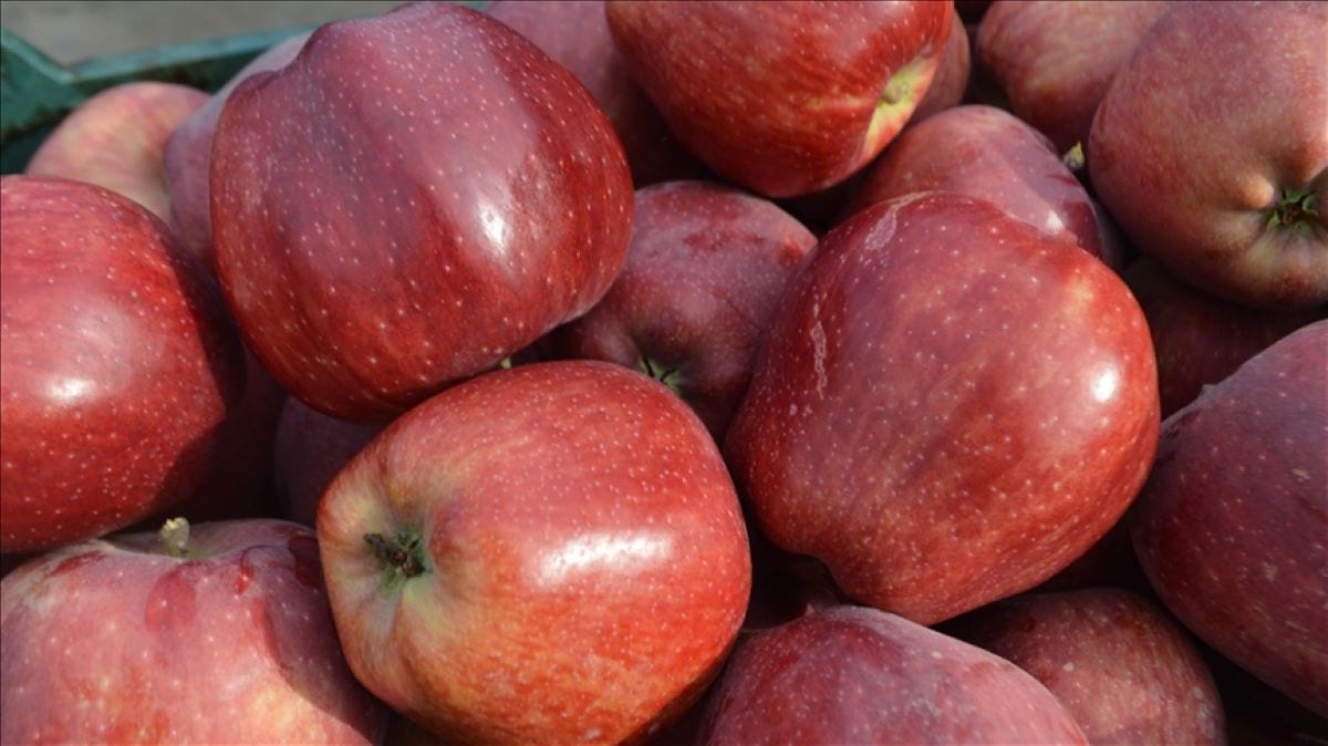 Türkiye'nin elma ihracatında dikkat çeken artış: İlk sıradaki ülke değişti