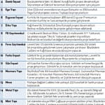 Konut sektöründe butik proje dönemi-1