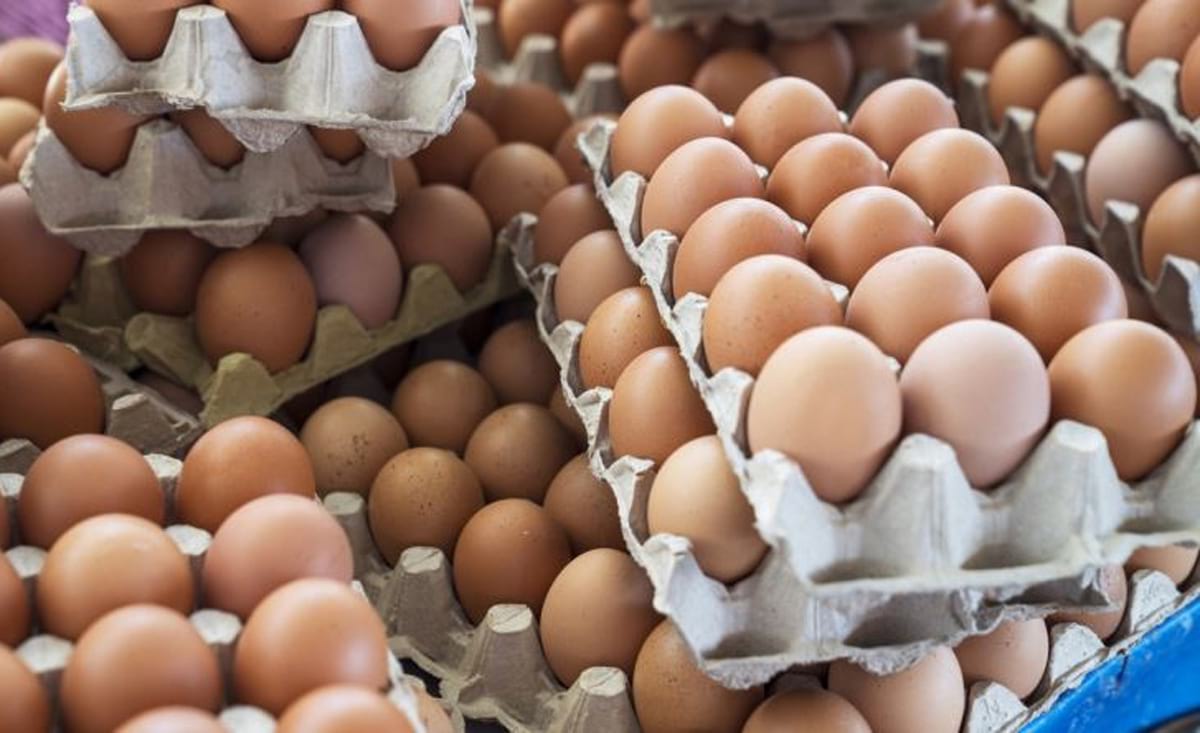 Yumurta sektörüne soruşturma açıldı