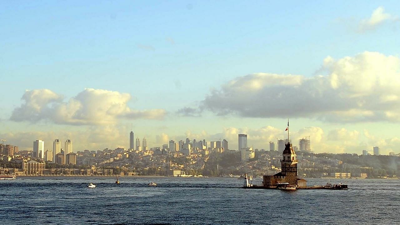 'Marmara'da uzun yıllardır görülmeyen canlılar yeniden ortaya çıkma başladı'