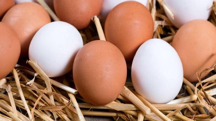 Yumurta üreticilerinden fiyat artışı açıklaması