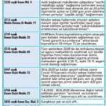 Covid-19 salgınına mali kalkan-2