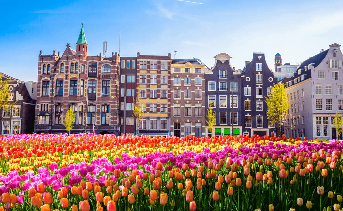 Yüksek kiralara karşı önerilen 'Hollanda modeli' nedir? Hollanda modelinin ayrıntıları