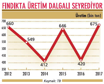 Fındıkta rekolte ve fiyat belirsizliği var-2