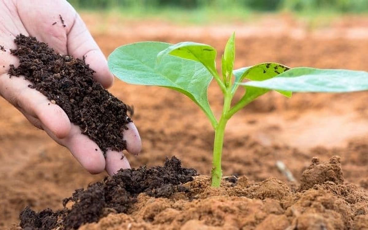 Tarım Kredi, gübre fiyatlarında indirim yaptı