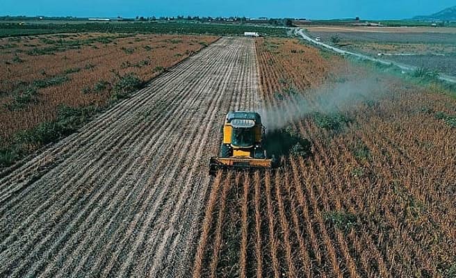 Tarımsal girdi fiyat endeksi şubatta yıllık 19,60 arttı