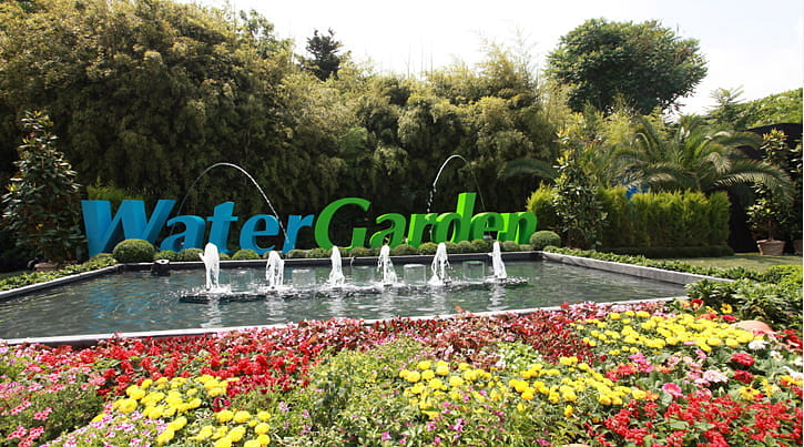 WaterGarden için yeni yerler bakıyor