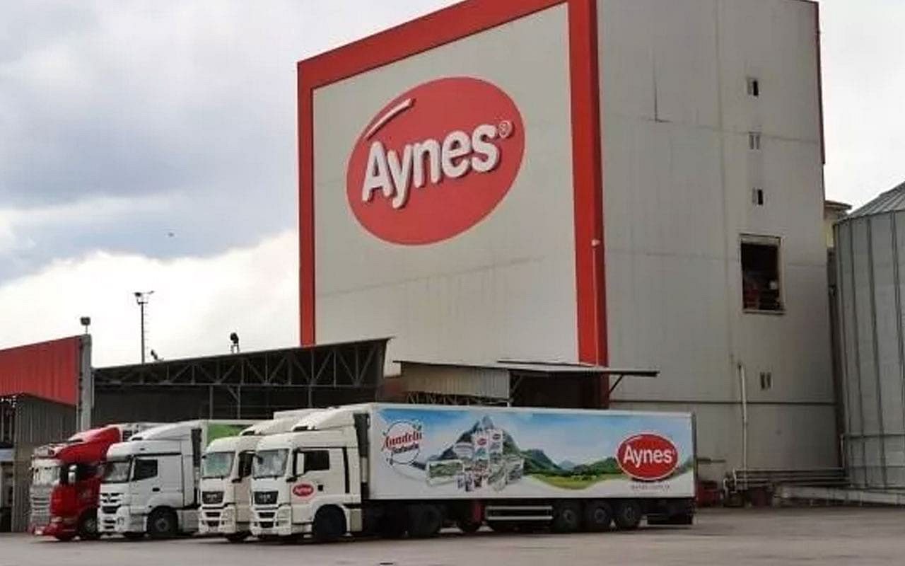 Aynes'e muhammen bedelin altında teklif