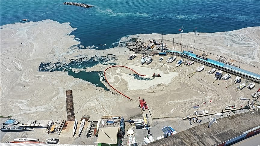 Bakanlıktan 7 ile deniz salyası genelgesi