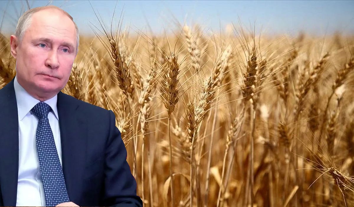Buğday fiyatları, Rusya'nın kararı sonrası yüzde 5’ten fazla arttı