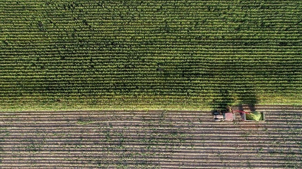 Tarımsal destekleme ödemeleri bugün hesaplara aktarılacak