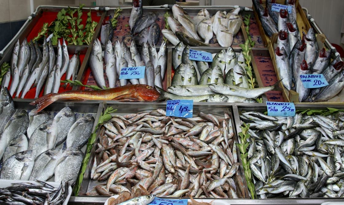 İstavrit, sardalya, palamut, çipura, hamsi... Balık fiyatları ne kadar?