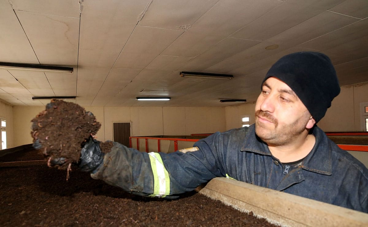 Kamu-özel iş birliğiyle kurulan şirket 'solucan gübresi' ile yurt dışına açılıyor-0