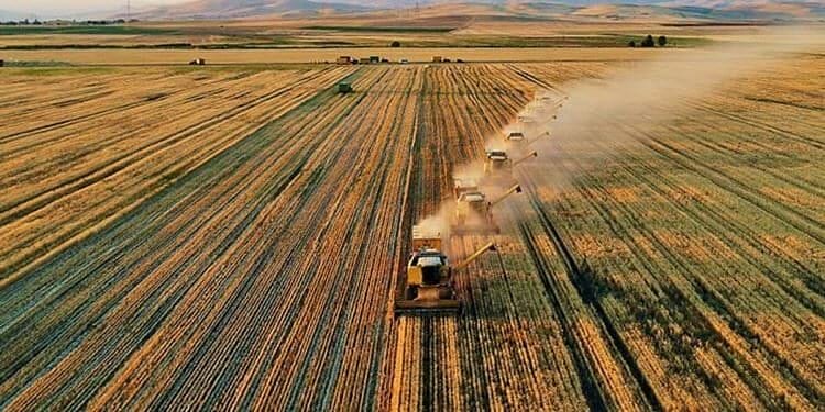 77,4 milyon liralık tarımsal destek ödemeleri bugün yapılacak