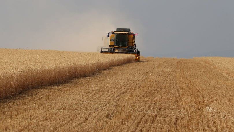 Tarım ÜFE'de yıllık artış yüzde 24,69