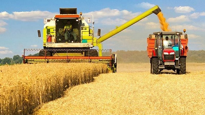 Buğdayda alım fiyatı açıklandı, gözler üretimde