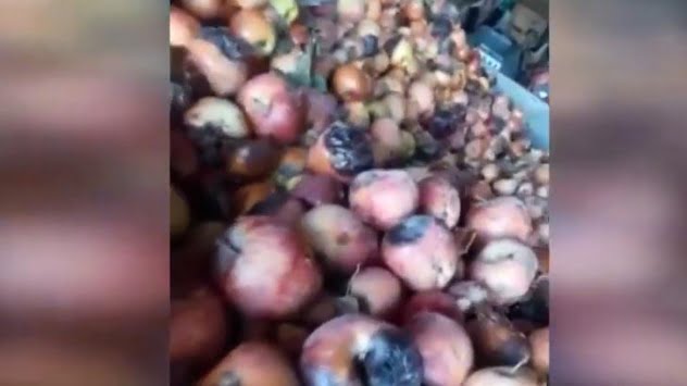 Bakanlıktan "çürük elma" videosuna inceleme
