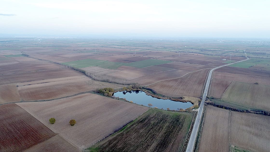 Trakya'nın verimli toprakları çiftçinin yüzünü güldürüyor-1