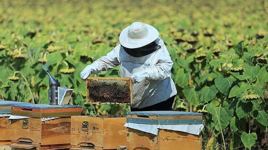 Bakanlıktan 3 sektörde hibe desteği: Son gün 22 Ocak