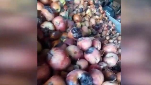 Bakanlıktan "çürük elma" videosuna inceleme