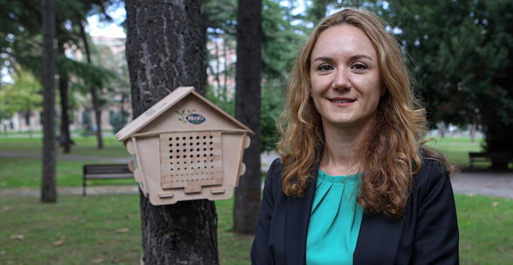 İstanbul’da 37 arı evi kuruldu