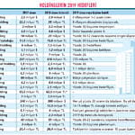 Holdinglerin 2019 planları-0