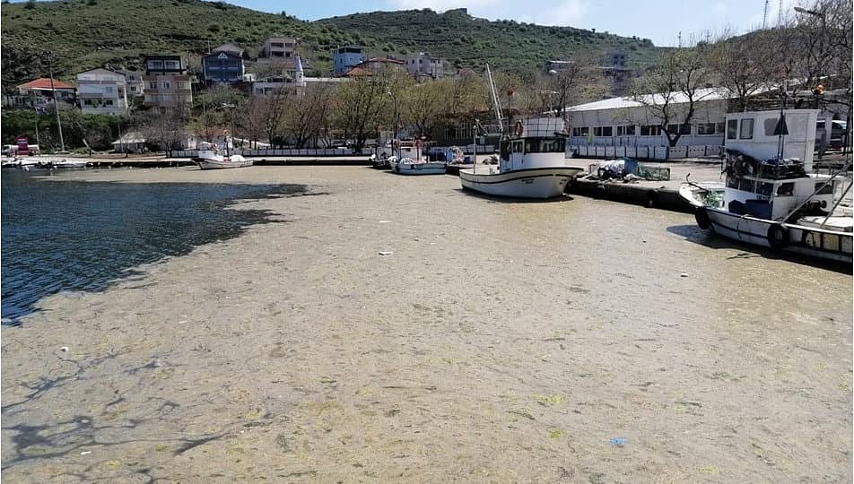 Marmara'da 'müsilaj' kabusu: Balıkçı tekneleri zarar gördü, ağlar kayboldu-0