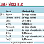 Halka arz zamanı-2