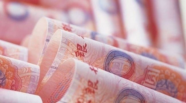 2020’de büyüyen tek ülke oldu