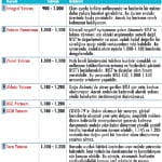 Sonbahar stratejileri-4