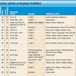 100 Franchising-4