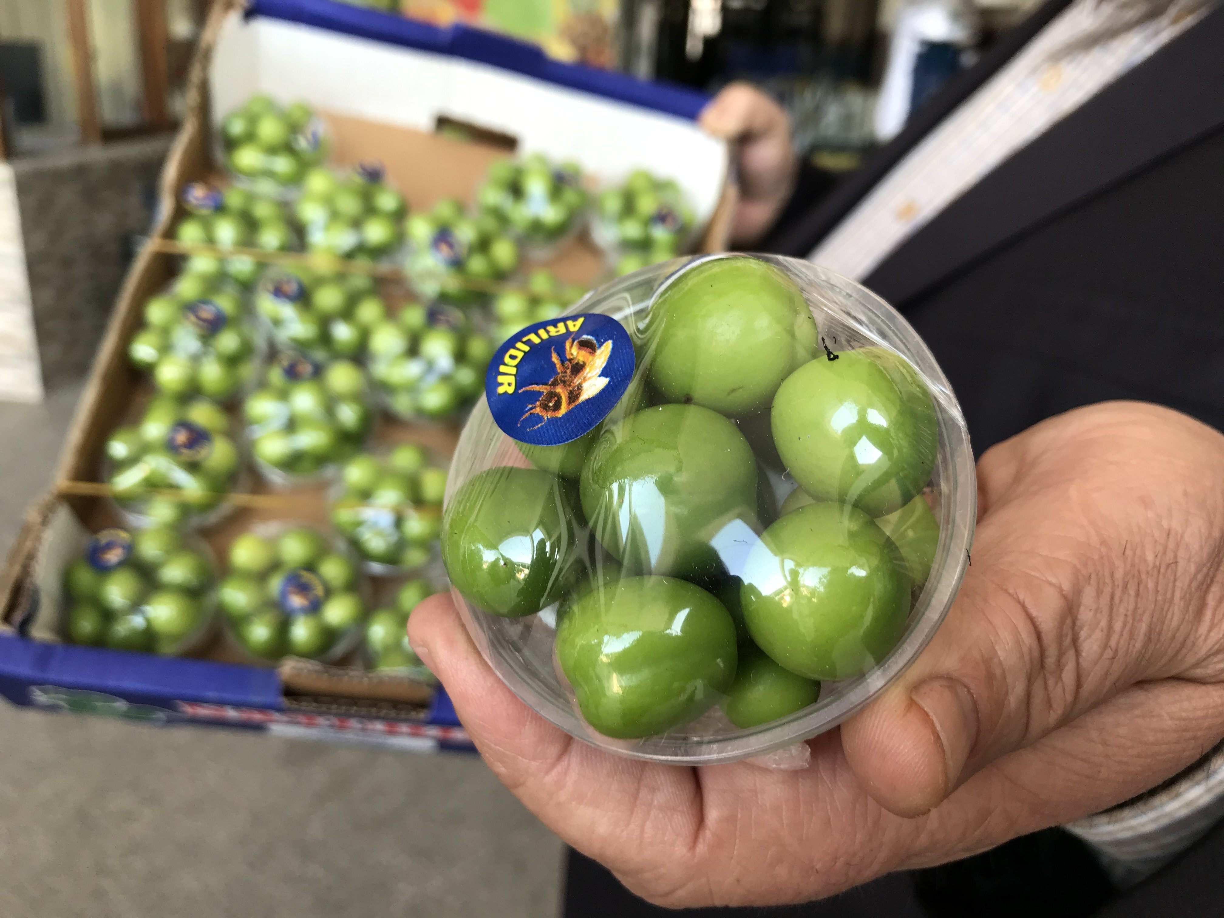 Antalya toptancı halinde yeşil eriğin kilosu 750 lira